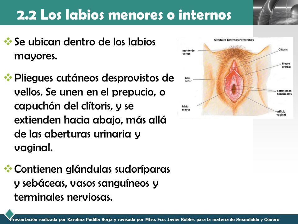 Bulto en labios menores
